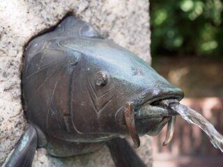 20140812_goerlitz_172