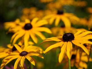 20140815_weifberg-weissbachtal_015