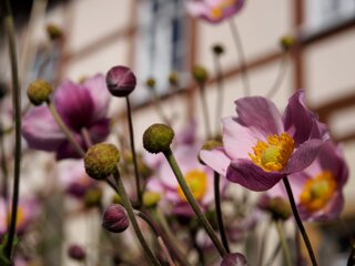 20140815_weifberg-weissbachtal_018