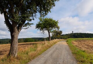 20140815_weifberg-weissbachtal_026