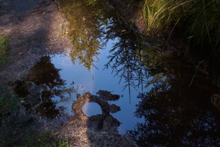 20140816_taubenstein_010
