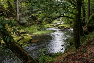 20140817_janov-edmundsklamm_165