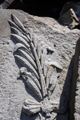 20140819_quaderberg_239