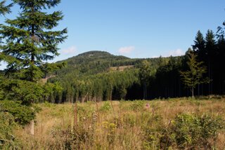 20140820_tollenstein-tannenberg_133
