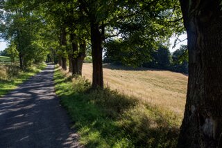 20140820_tollenstein-tannenberg_140