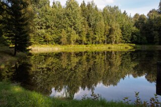 20140820_tollenstein-tannenberg_362