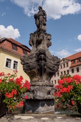 20140821_zittau_080