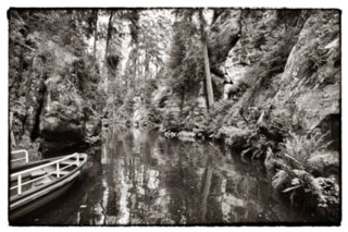 20090819_163704-bearb-bw