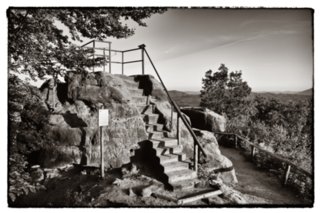 20090819_192002-bearb-bw