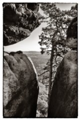20090820_083406-bearb-2-bw