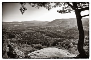 20090820_084039-bearb-bw