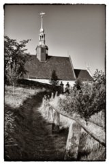 20090821_072111-bearb-bw