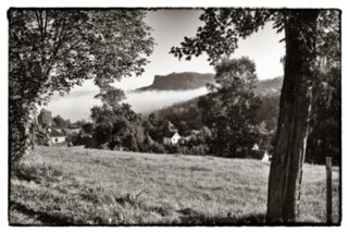 20090823_081025-bearb-bw