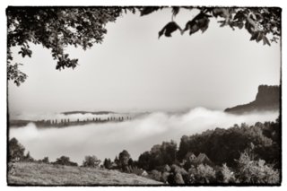 20090823_081716-bearb-bw