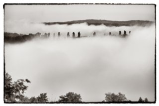 20090823_081919-bearb