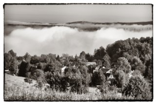 20090823_082817-bearb-2-bw