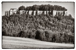 20090823_083449-bearb-bw