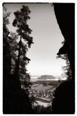 20090823_085734-bearb-bw