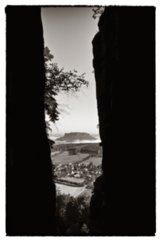20090823_090100-bearb-2-bw