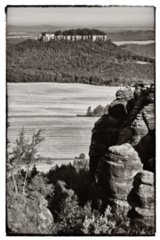 20090823_092342-bearb-2-bw