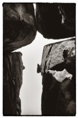 20090823_100503-bearb-2-bw