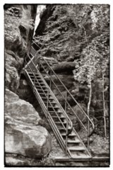 20090823_100558-bearb-bw