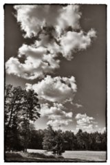 20090823_120142-bearb-bw
