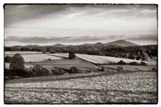 20090823_193741-bearb-bw
