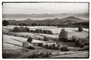 20090823_194002-bearb-bw