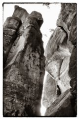 20090824_084323-bearb-bw