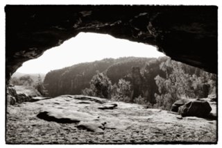 20090824_085208-bearb-2-bw