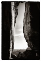 20090824_085842-bearb-2-bw