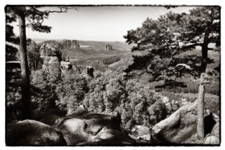 20090824_104550-bearb-2-bw