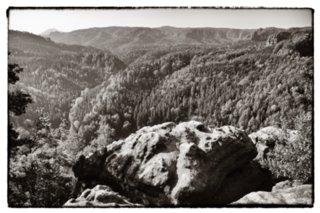 20090828_095033-bearb-2-bw