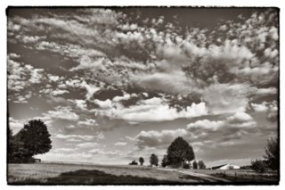 20090828_190252-bearb-2-bw