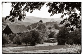 20090828_190614-bearb-bw