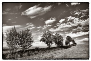 20090828_191113-bearb-bw