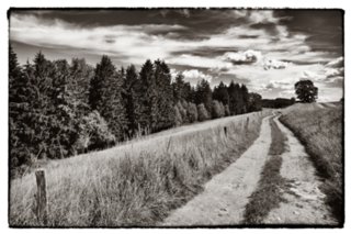 20090830_120813-bearb-bw