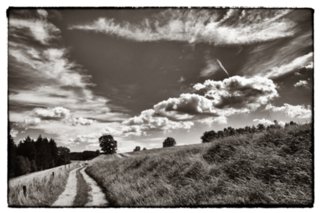 20090830_120822-bearb-bw