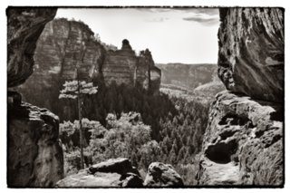 20090831_151854-bearb-bw