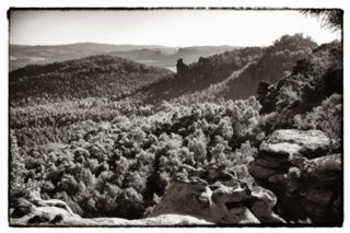 20090901_085227-bearb-bw
