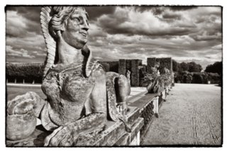 20090903_172304-bearb-bw