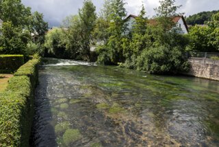 20130730_blaustein_002