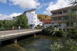 20130730_blaustein_003