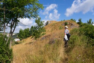 20130730_loewenfels_003