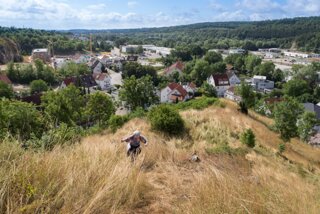20130730_loewenfels_005