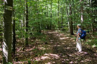 20130731_rusenschloss_030