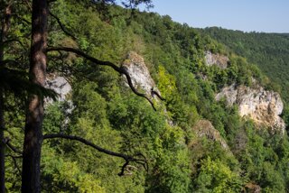 20130805_donautal_021