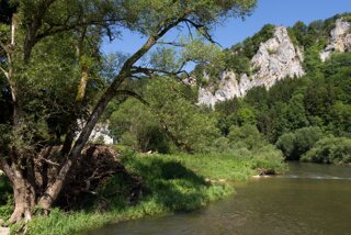 20130805_donautal_040