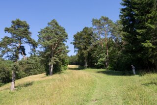 20130805_donautal_080